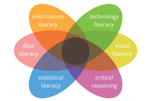 Graphic showing overlapping petals labelled information literacy, data literacy, statistical literacy, critical reasoning, visual literacy, technology literacy.